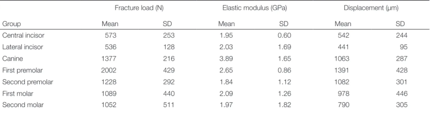 Table 3.  Fracture loads for maxillary teeth, showing displacements in compression