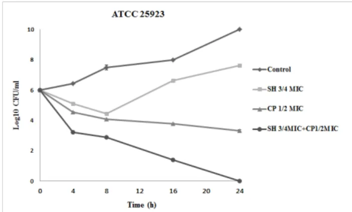 Table  4.  Result  of  the  combined  effect  of  SH  and  CP  against  S. 