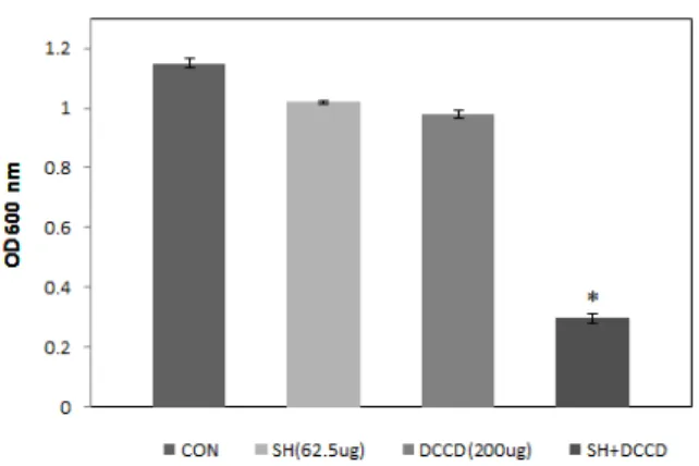 Figure  6.  Effect  of  ATPase-inhibitors  agent  DCCD  on  the  susceptibility  of  S