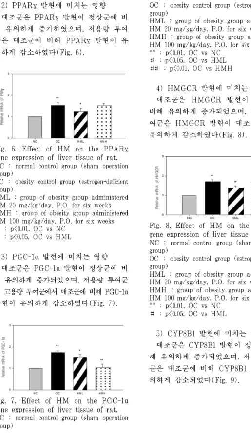 Fig. 6. Effect of HM on the PPARγ  gene expression of liver tissue of rat.