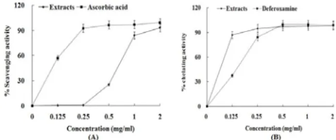 Fig.  1.  Hydroxyl  radical  scavenging  activity  (A)  and  Fe 2+   chelating  activity  (B)  of  PL  extract