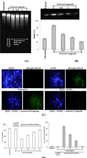 Fig.  2.  Protective  effect  of  PL  extract  against  oxidative  DNA  damage  in  non-cellular  system