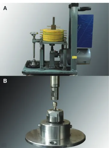 Fig. 3.  Illustration of each measurement point of axial  displacement value, RTV and tensile removal force.