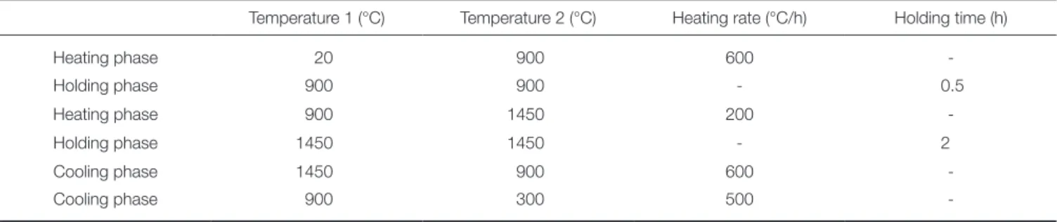 Table 2.  Crystallization conditions for lithium disilicate structures in Programat EP 3010
