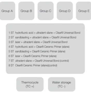 Fig. 1.  Study plan and subgroups.