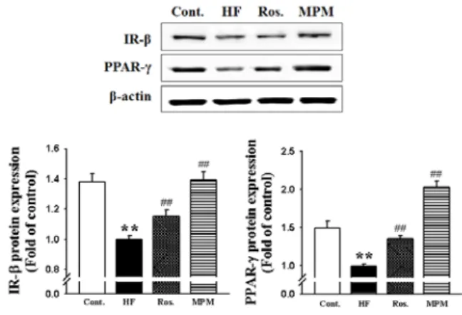 Fig.  1.  Effect  of  MPM  on  blood  glucose  and  leptin  level  in  fructose-diet  rats