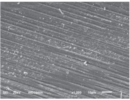 Fig. 2.  Scanning electron microscopy image (×1000  magnification) of the grinded zirconia specimens, Group  G.