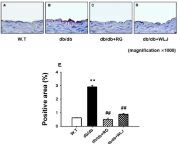 Fig.  9.  Immunofluorescence  staining  of  insulin  in  the  pancreas  of  db/db  mouse.