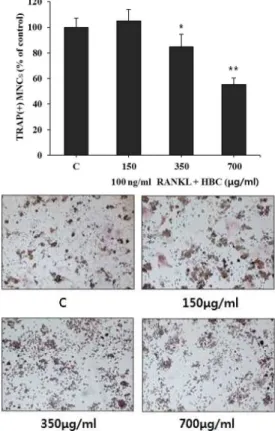 Fig. 1. Effect of HBC on cell viability.