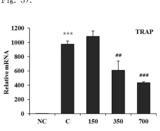 Fig. 4 Effect of HBC on MMP-9 gene expression in RANKL-stimulated osteoclast.