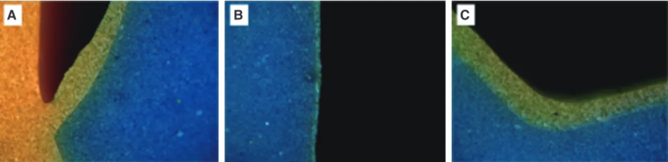 Fig. 9.  Captured figures after sectioning in the buccolingual direction using a digital microscope camera: (A) the margin,  (B) the axial surface, and (C) the occlusal surface