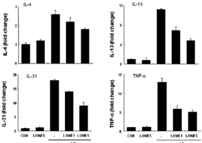Fig.  12에서처럼  아토피피부염에  의해  IL-4와  IL-13뿐  아니라  IL-31  mRNA가  증가되었지만  생강나무추출물에서  의해서  이들  mRNA가  용량-의존적으로  귀조직에서  감소되었 다