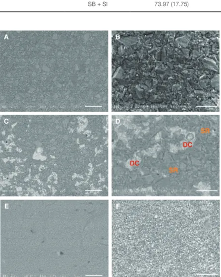 Fig. 1.  The representative SEM photographs of  SR Nexco groups. (A), (B) the cohesive failure  in SR Nexco (SR)