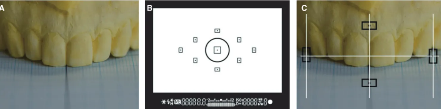 Fig. 1.  (A) Maxillary dental cast setting on graph paper, (B) DSLR camera's viewfinder, (C) Photographing view by auto  focusing mode with 4 points.