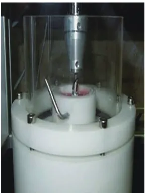 Fig. 2.  The forces are applied in 45-degree angle over the 