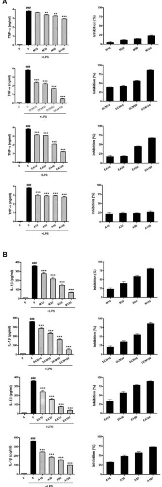 Figure  5.  Inhibition  of  LPS-induced  iNOS  and  COX-2  expression  by  RJ  extracts