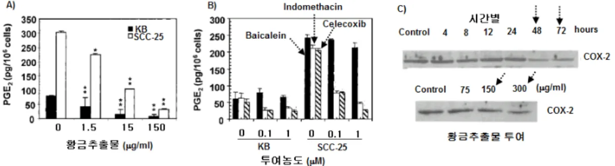 Fig.  7은  황금추출물의  arachidonic  acid에서  PGE 2   생성과  COX-2  발현에  대한  영향을  나타낸  것이다.  Fig