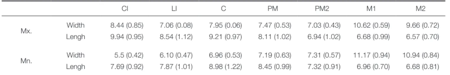 Table 1.  Mean values and standard deviations (SD) of crown widths and lengths of the entire dentition