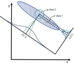 Fig. 2.  Schematic of dentiform and base models: (A) definitive model; (B) gypsum model with tooth number; (C)  gypsum model with four variable factors.