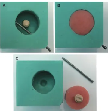 Fig. 1.  Preparation of crown holders according to the  specimen cup of the chewing simulator