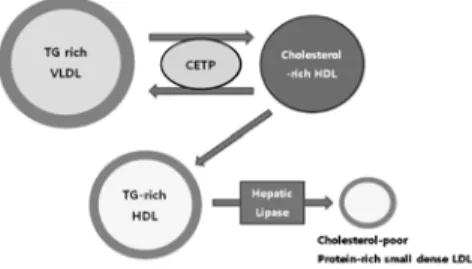 Fig.  4.  Plasma  lipid  exchange