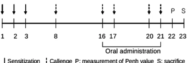 Fig.  1  Experimental  schedule  All  experimental  groups,  except  normal  control  group,  were  sensitized  intra  -peritoneally  on  days  1,2,  and  3  and  challenged  intranasally  on  days  8,17,20  and  21
