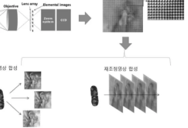 그림 12. 광선 분포 촬영 현미경으로의 응용 3.2 공간-각 주파수 특성을 이용한 깊이 영역 필터링 광선 분포의 다른 응용예로는 물체의 깊이 기반 필 터링이 있다[22]