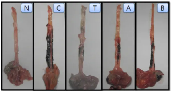 Fig.  2.  Effect  on  gastric  acid  pH  in  reflux  esophagitis  rat  treated  with  alpha-tocopherol  and  extract  of  evodiae  fructus.