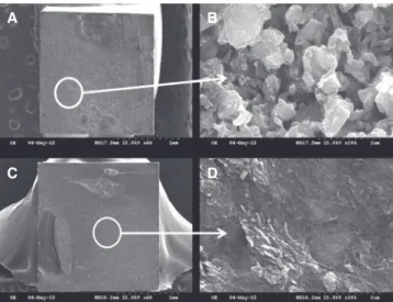 Fig. 6.  Scanning electron microscopy images of fractured  RNC specimens: (A) Group HB (×40 magnification), (B)  Group HB (×20,000 magnification), (C) Group HSB (×40  magnification), and (D) Group HSB (×20,000 