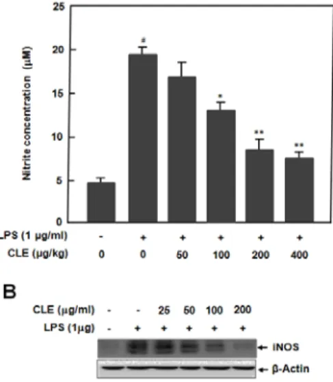 Fig.  6.    Effects  of  C.  japonicum   var.  ussuriense  the  leaf  extracts  (CLE)  on  LPS-induced  PGE 2   production  and  COX-2  expression  in  RAW  264.7