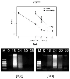 Fig.  2.  Effect  of  the  ethanol  extract  of  Cortex  fraxini  (HY5053)  on  the  cell  viability  and  DNA  fragmentation  under  hypoxic  condition The  HepG2  cells  were  plated  at  1×10 6   cells/60  mm  culture  dish  and  grown  in  4  mL  of  c