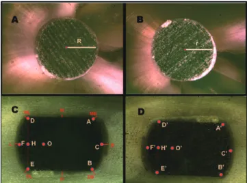 Table 1 is presented to show push-out test results. In terms  of  the push-out test results of  the cervical, middle and  api-cal specimens of  the oval and circular fiber-post groups,  there were no significant differences among the groups  (P>.05)