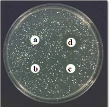 Table  1.  Anti-microbial  activity  of  PSE  extract  from  Zanthoxylum  pericarpium   on  S
