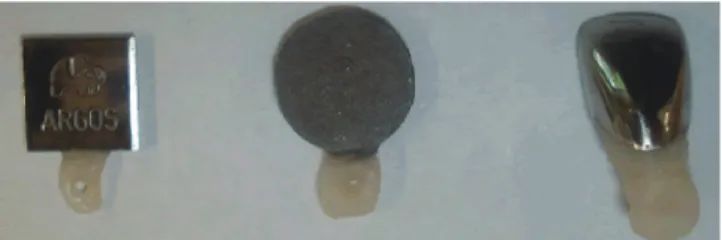 Fig. 1.  Photographic representation of the different test  specimens with the suspension point.