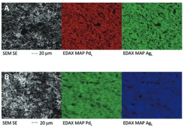 Fig. 2 shows the SEM and EDAX mapping images (Pd  and Ag) of  the surface of  the polished specimens of  Pd-Ag  alloys (Orion Argos), before and after immersion in the  lac-tic acid/sodium chloride solution and Fig