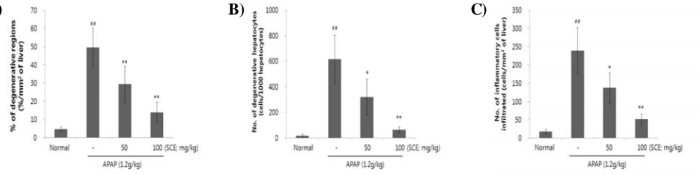 Figure  3.  Effect  of  SCE  on  hepatopathies  in  APAP-induced  liver  toxicity.