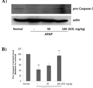 Figure  6.  Effect  of  SCE  on  expression  of  pro-caspase-3  proteins.