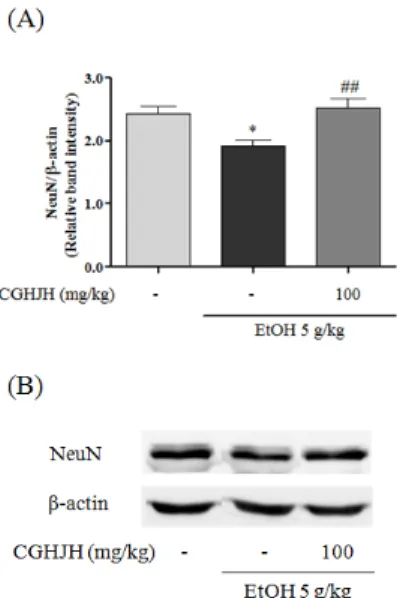 Fig.  6.  Effect  of  CGHJH  on  EtOH-induced  memory  impairment.  in  ICR  mice. 