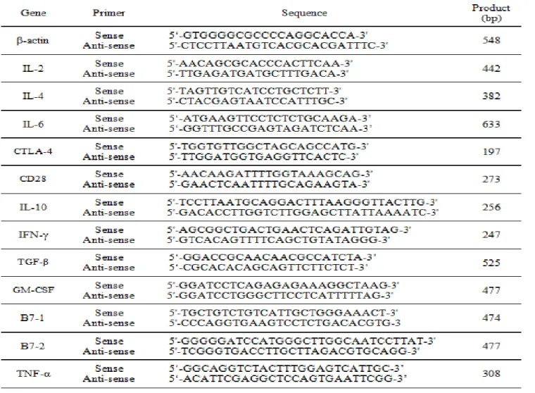 Table  1.  Primer  sequences  for  RT-PCR 