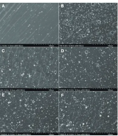 Fig. 2.  Scanning electron microscopy images (×500 magnification) of the titanium specimen surface