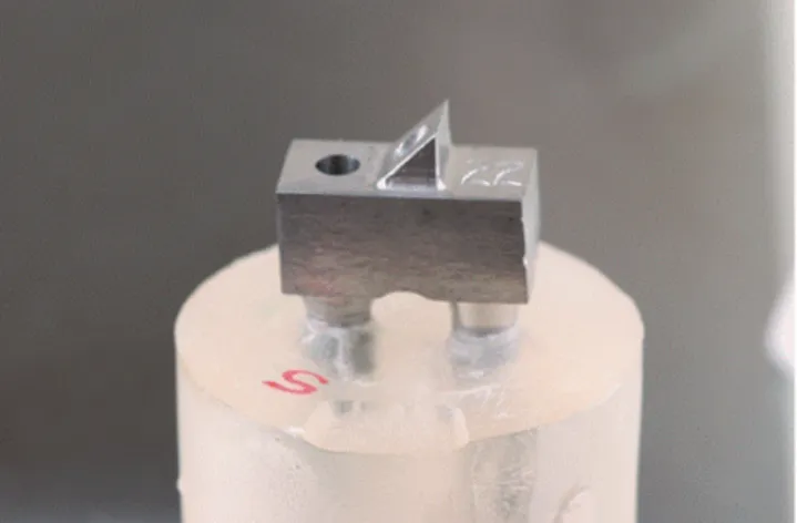 Fig. 2.  Screw- and cement-retained implant prosthesis 