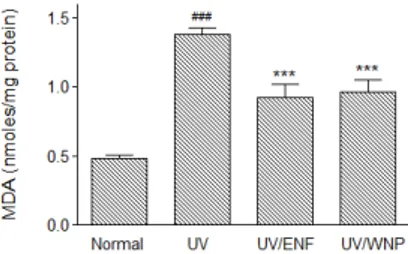 Fig.  3.  Protective  effect  of  ENF,  WNP  on  UVB-induced  lipid  peroxidation.  Total  HaCaT  cells  lysate  from  cultured  cells  were  analyzed  for  MDA  formation  5  hours  after  UVB  (20  mJ)  radiation