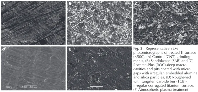 Fig. 3.  Representative SEM 