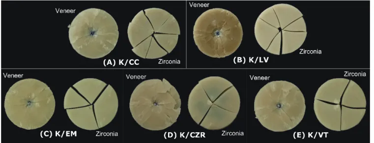Fig. 5.  Fracture pattern of tested specimen from each study group.
