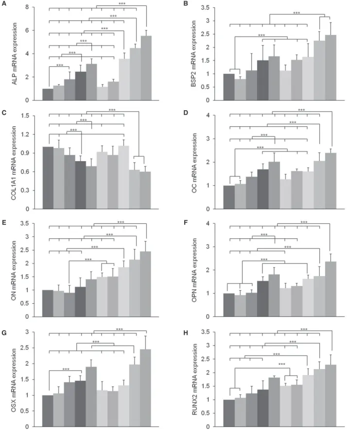 Fig. 5.  The relative fold change osteoblast-marker-gene expression in human bone marrow-derived mesenchymal stem  cells (MSCs) after 2-day confluence and 14 days of osteogenic culture on titanium substrata with specific surface  topographies and fibronect
