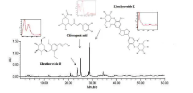 Fig.  1.  2-D  HPLC  Chromatogram  for  Standardization  of  Eleutherococcus  Species.