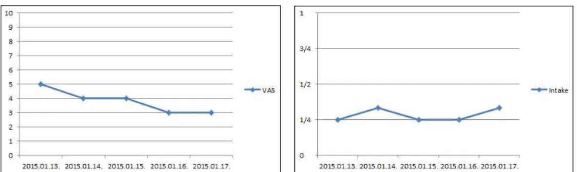 Fig. 1. Treatment progress in nausea (Lt.) and treatment progress in food intake (Rt.)