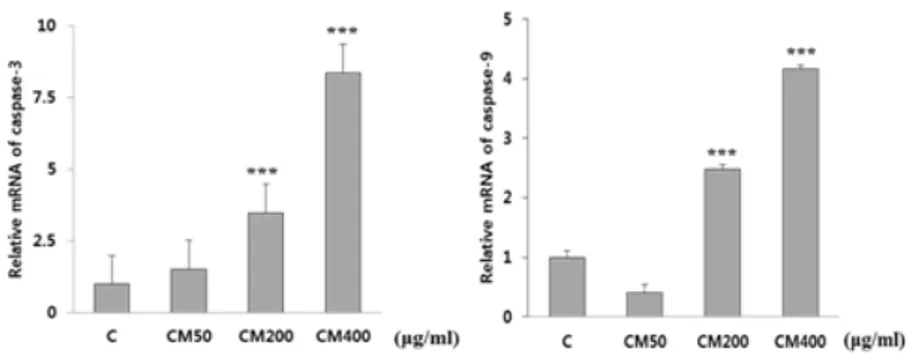 Fig. 4. Effect of CM on caspase gene expression of MDA-MB-231 cell. 