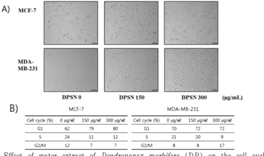 Fig.  4.  Effect  of  water  extract  of  Dendropanax  morbifera  (DP)  on  the  cell  cycle  distribution in breast cancer cell lines