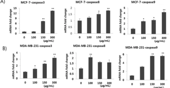 Fig.  6.  Effect  of  water  extract  of  Dendropanax  morbifera  (DP)  on  caspase  gene  expression of breast cancer cells